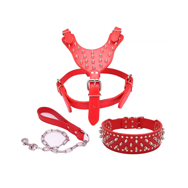 Pet Walking Gear Leashes Collars